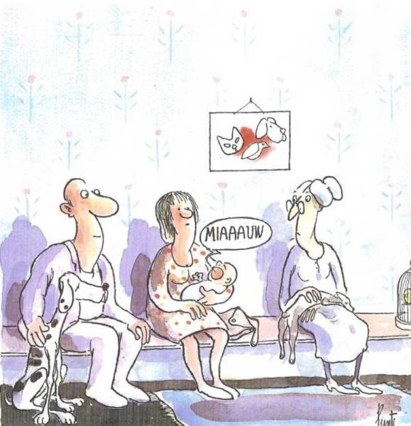 Cartoon Jan Punt Van der Aa