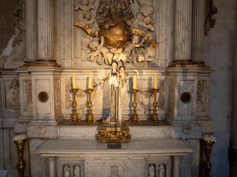 Het verenkleed van Maria