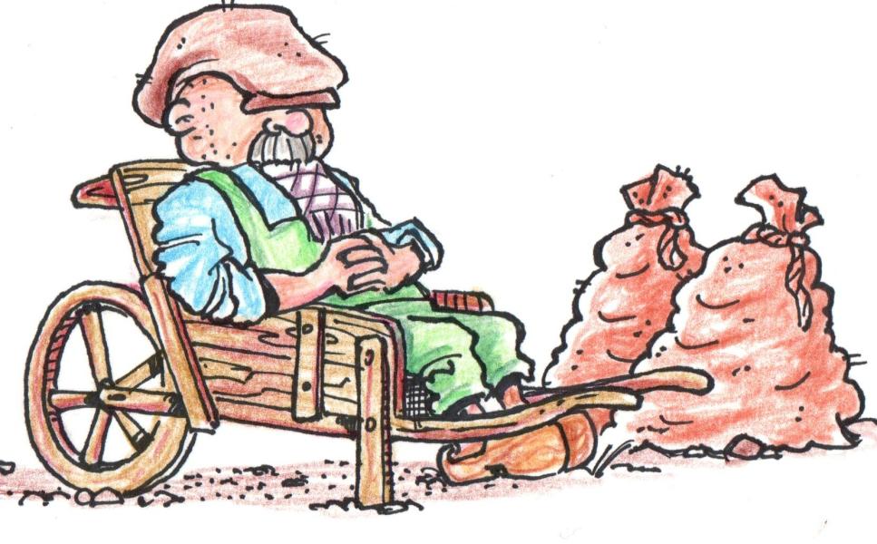 Sus rust uit in de kruiwagen